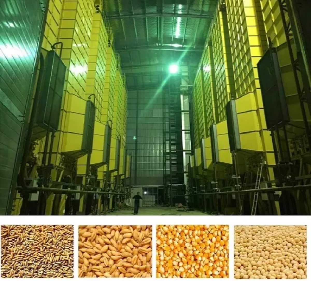 Rice/Corn/Maize/Grain Dryer Machine 5HGM-50