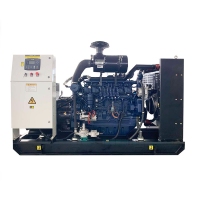 20kW Weifang Ricardo Natural Gas Genset HTG-20GF  for sale