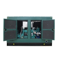 40kW  Weifang Ricardo Gas Genset HTG-40GF for sale at cheapest price